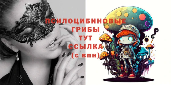 кокс Бородино