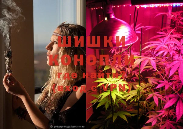 2c-b Кукмор