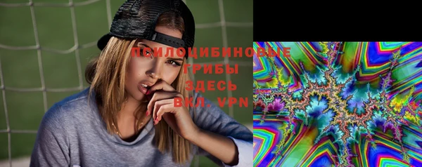 2c-b Кукмор